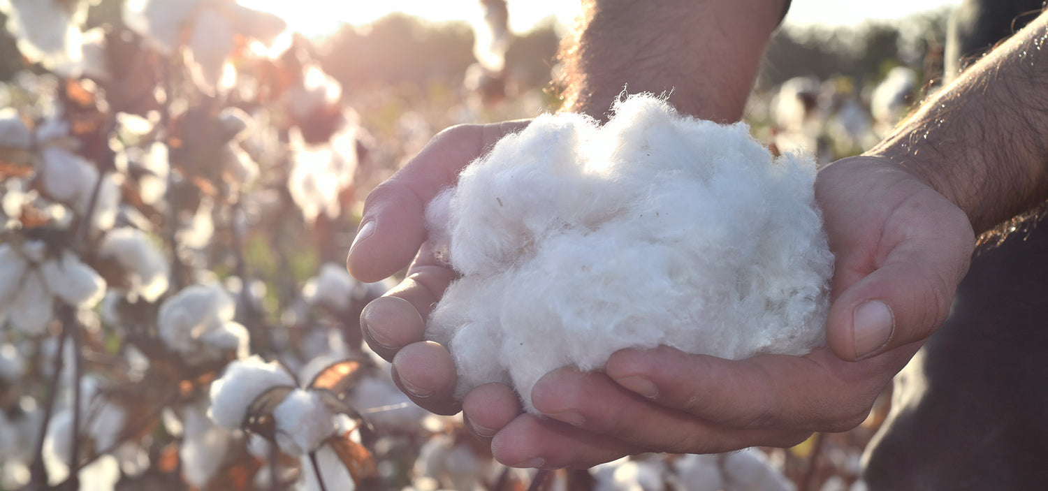 organic pima cotton clothing from Peru
