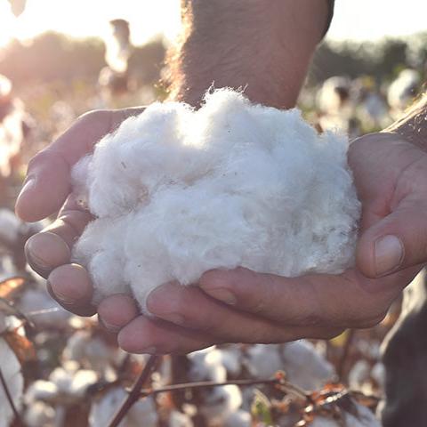 organic pima cotton clothing from Peru